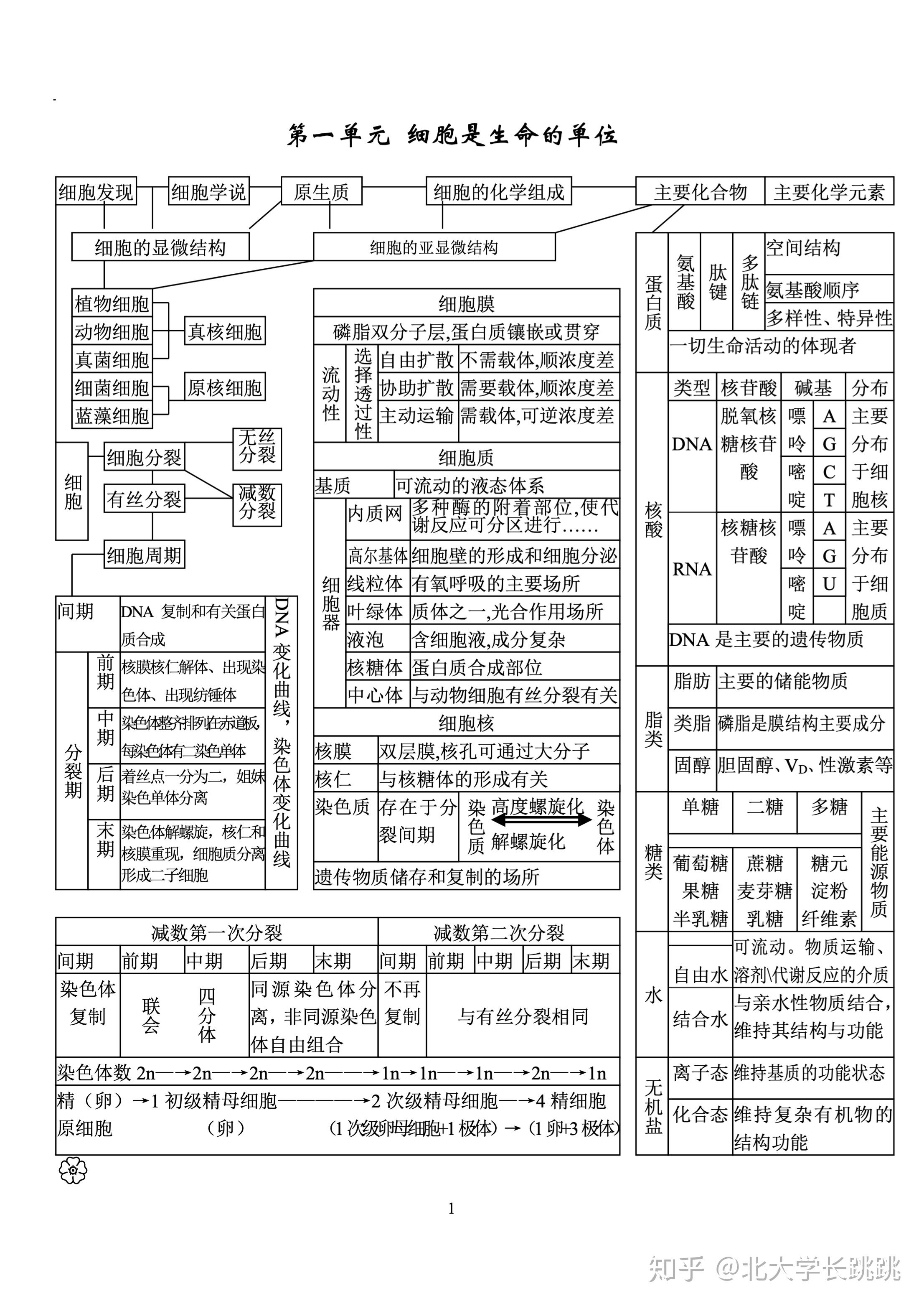 高考状元的高中生物知识框架图 