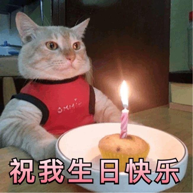 有什麼祝自己生日快樂的表情包嗎