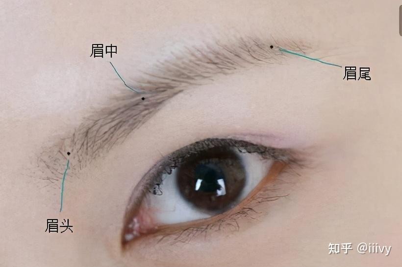 很容易大家被忽视的眉毛