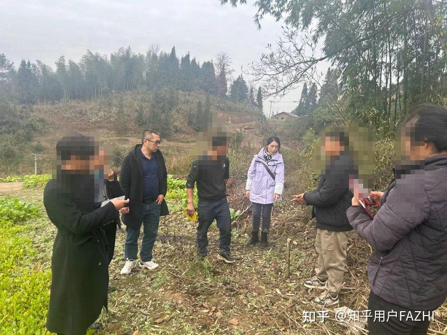 法庭“枫”景亲兄弟反目成仇闹上法庭,看法官如何化解? - 知乎