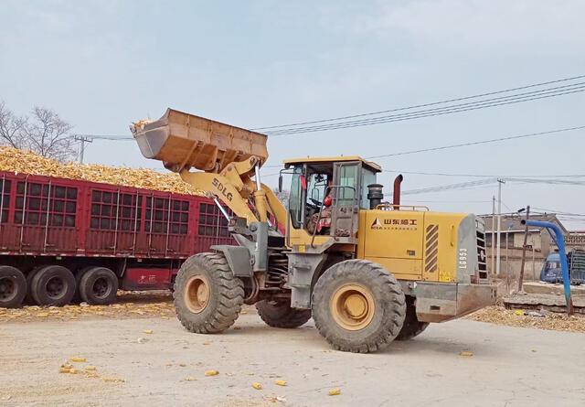 玉米翻盘大涨重返15元4点价格因素未来还会上涨