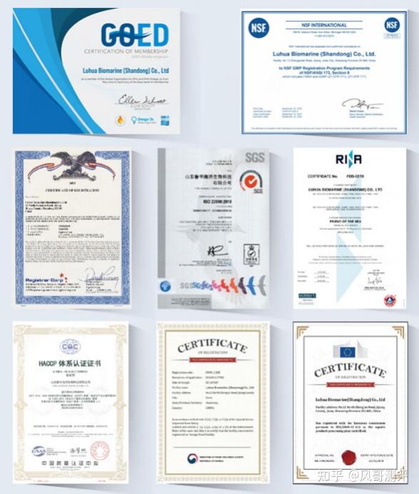 v2-49d10efc70dc7b2c5f25fee572a340ca_r.jpg