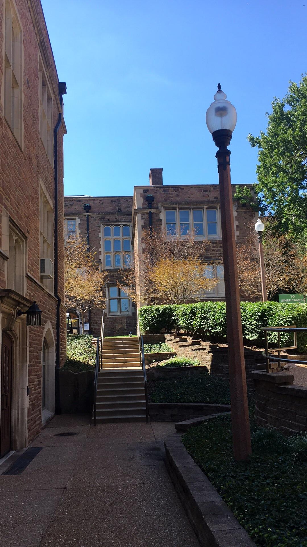 在圣路易斯华盛顿大学wustl就读是一种什么体验