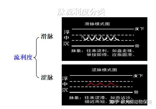 「大梆小课堂」脉象分类与主病(三)——虚脉&实脉篇 - 知乎