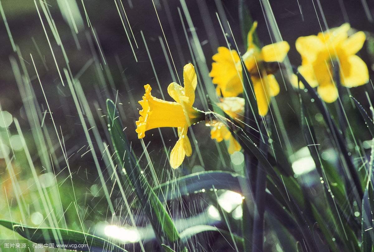 大雨高清壁纸图片