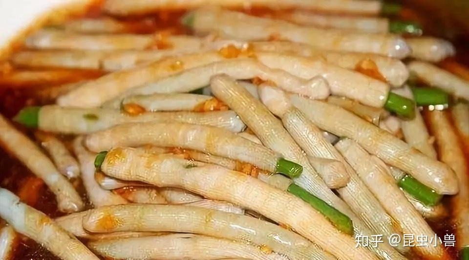 011沙虫和鸡蛋一起蒸 可以完美的融为一体油炸容易爆浆禾虫,学名"疣吻