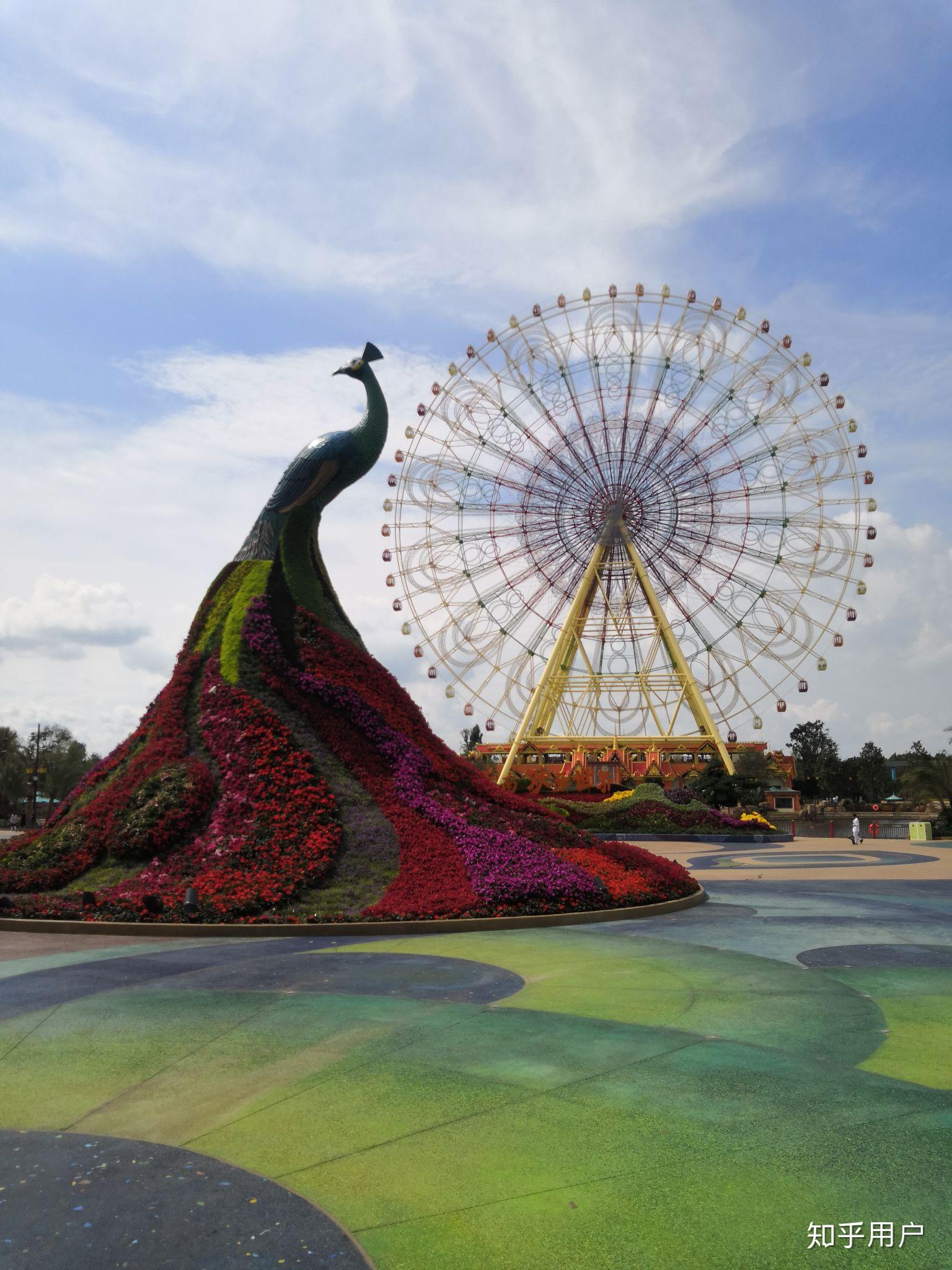 不跟团去云南旅游需要注意什么?