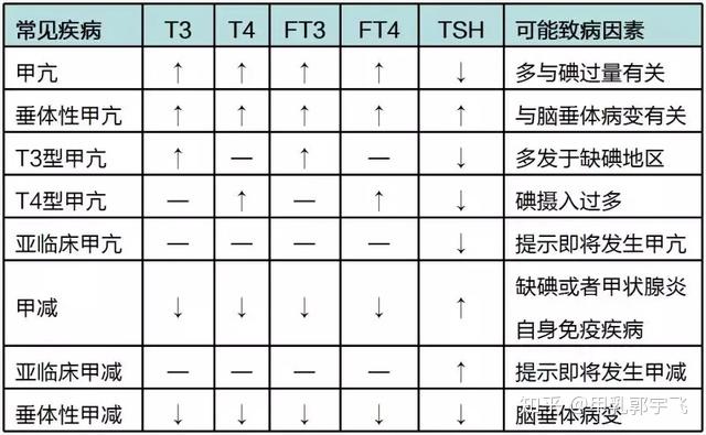 怎么看甲功五项化验单图片