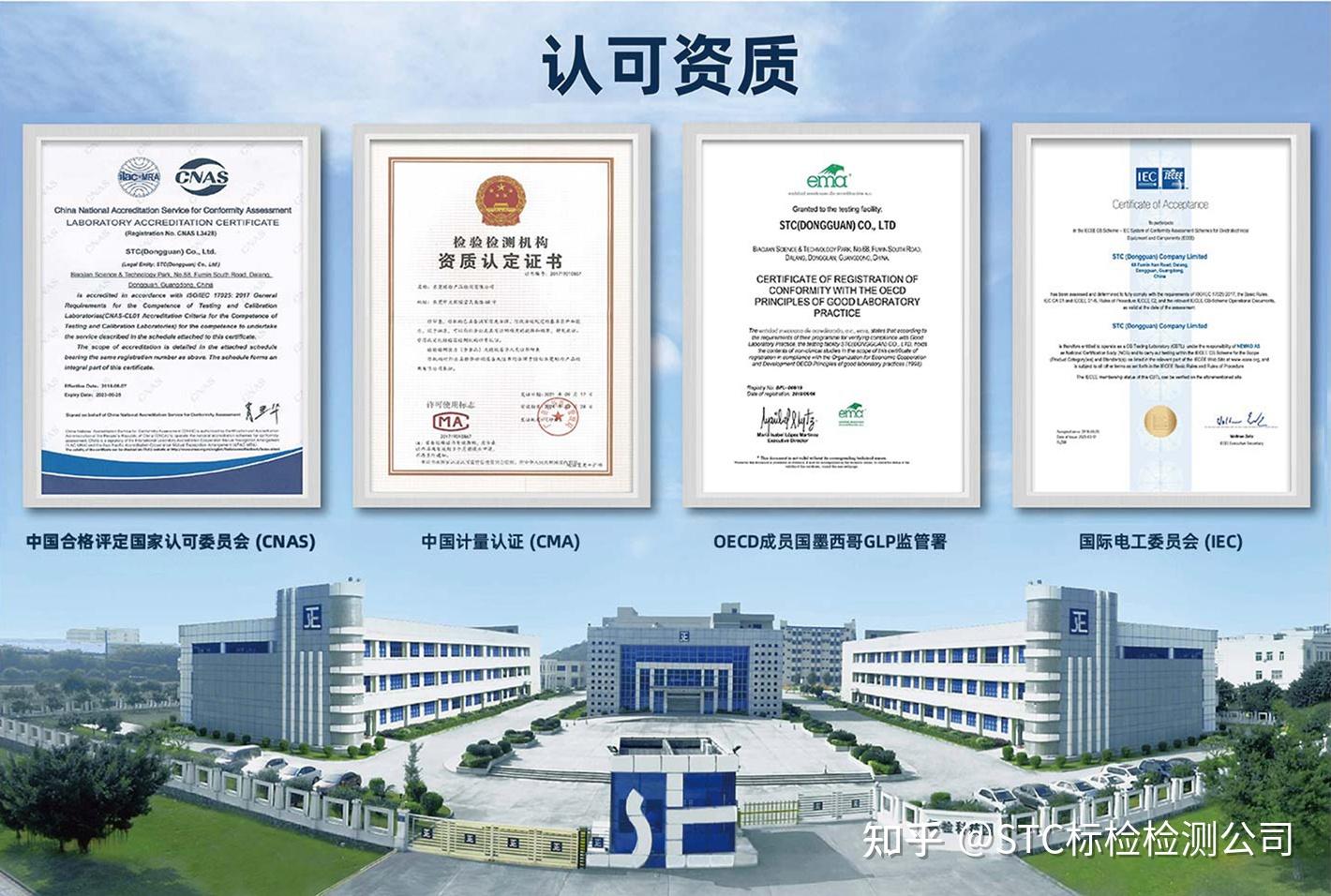 什么是DSA介入大动物试验？ - 知乎