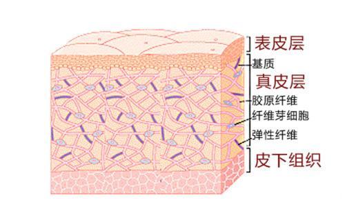 這幾層分別有什麼作用?