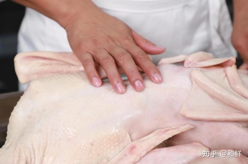 鹅鹅鹅曲项让我捉拔毛再卤水成盘摆上桌