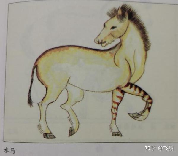 《山海经北山经》全图文怪兽讲解第一篇 - 知乎