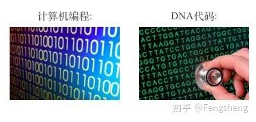 知乎专栏