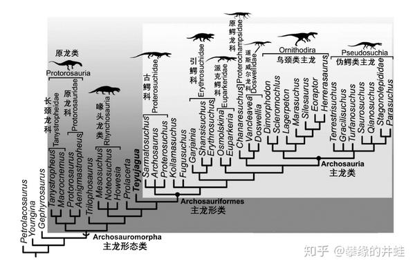第二百五十八回九龙颂1鼋鼍出没蛟鳄横