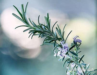 v2-4a87751c9d33b408fc93d36b186d3b9a_b.jpg