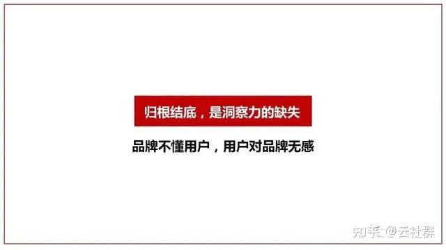 洞察