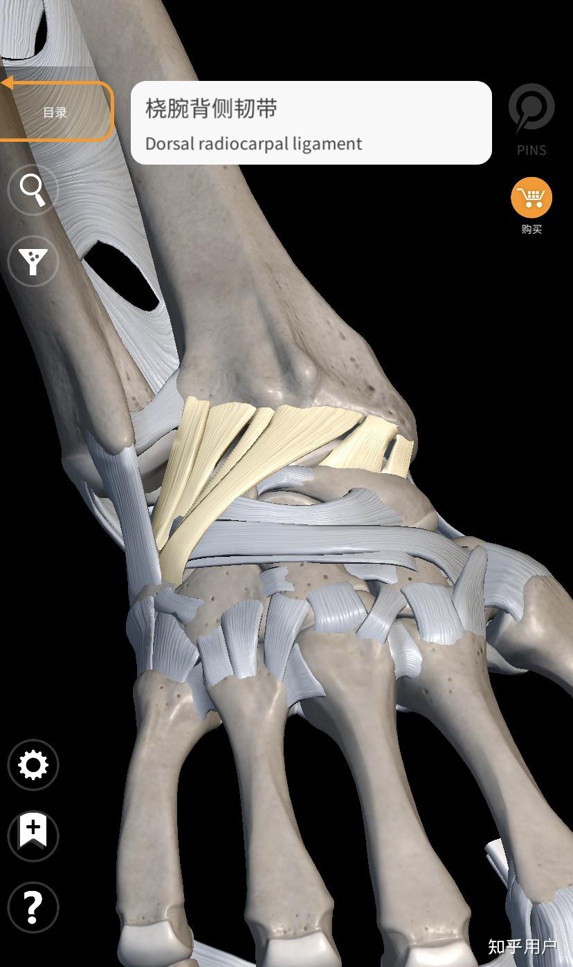 三角纤维软骨tfcc损伤该如何治疗和康复呢