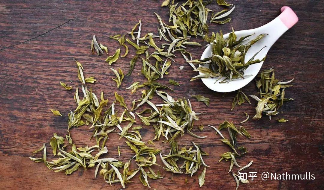 大吉岭白茶,不止是珍贵! - 知乎