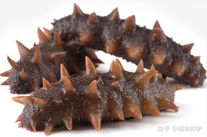 海参哪个牌子好?海参怎么选?高性价比即食海参/干海参选购指南及自用送礼海参品牌推荐