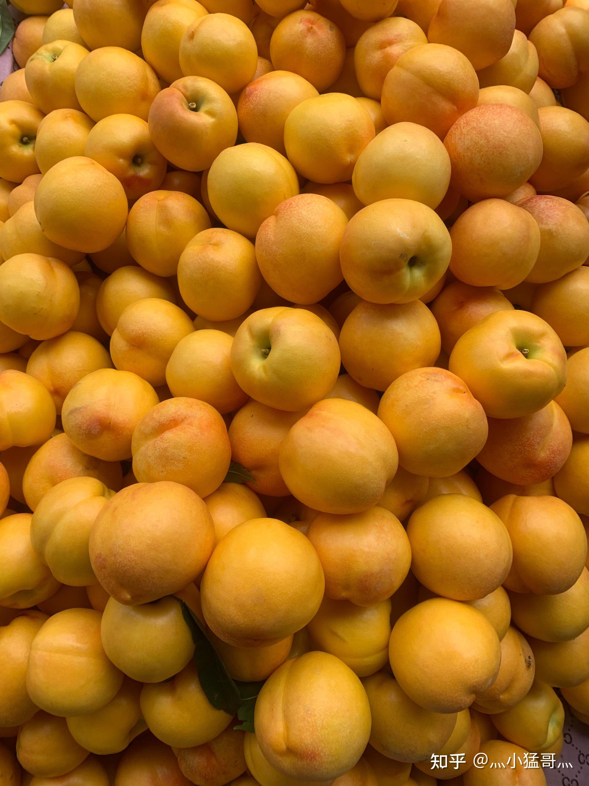 淘宝店铺叫做,大妮子小院,不是妥,只是感觉店铺老板