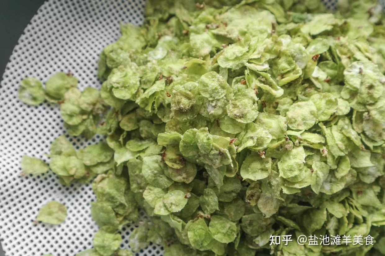 蒸榆钱——榆钱的吃法之一 - 知乎