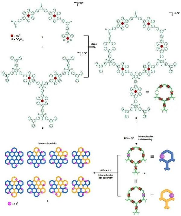 自然 化学 首次制备直径为 Nm的六角形网格超分子 知乎