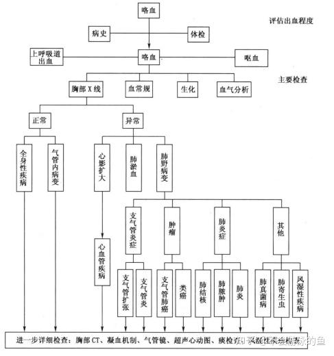 咯血量的三个分度图片