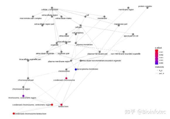 GEO数据分析——GO基因通路富集 - 知乎