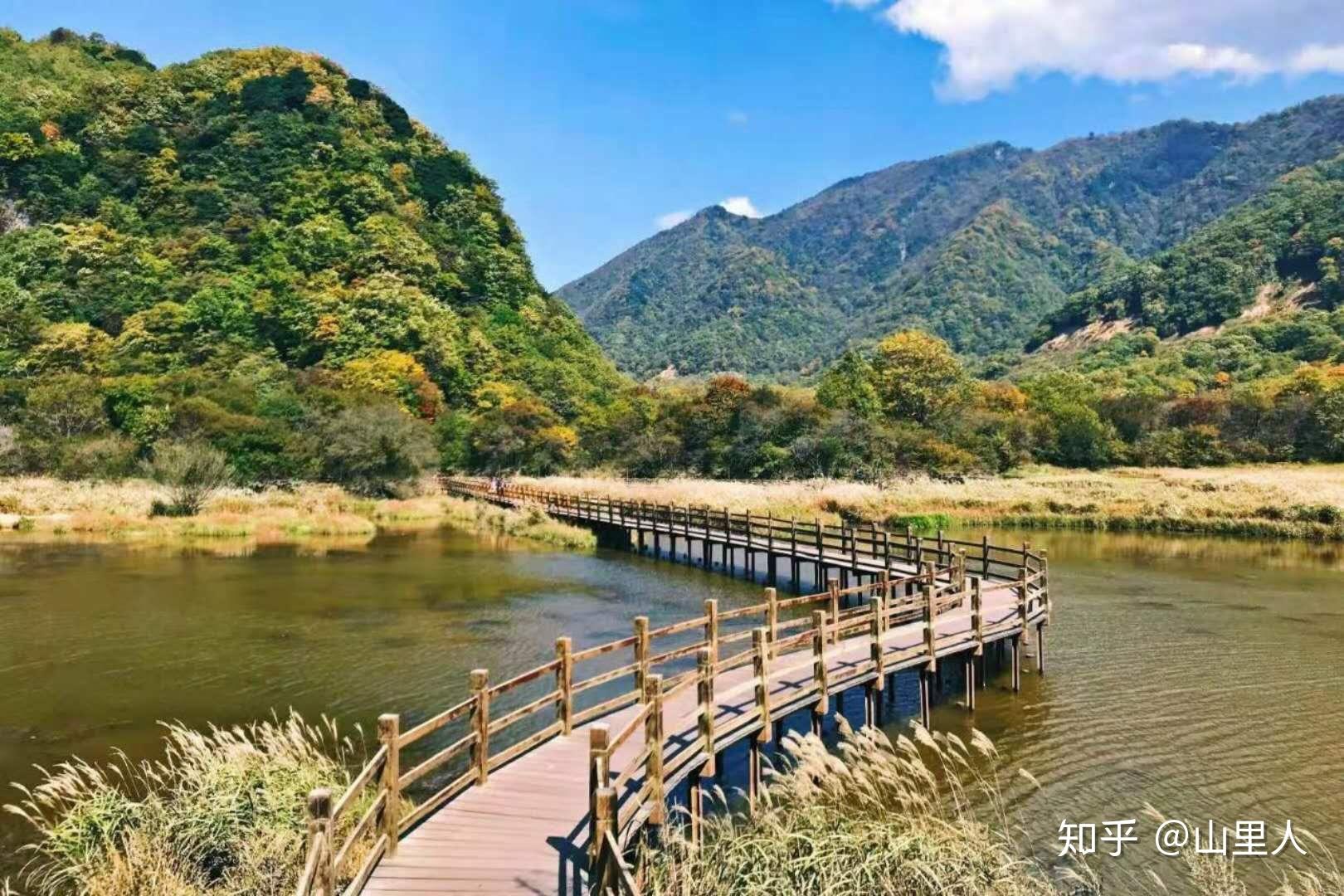 神农架旅游攻略,包车、景区分布、行程推荐!2023/6/27更新,神农架怎么玩? - 知乎
