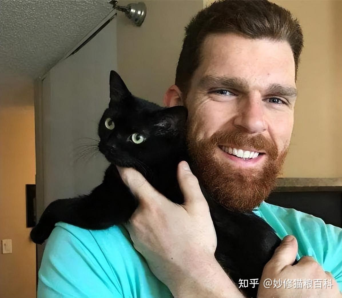 民间流传“黑猫”不吉利,敢养的人太少,你养过吗? - 知乎