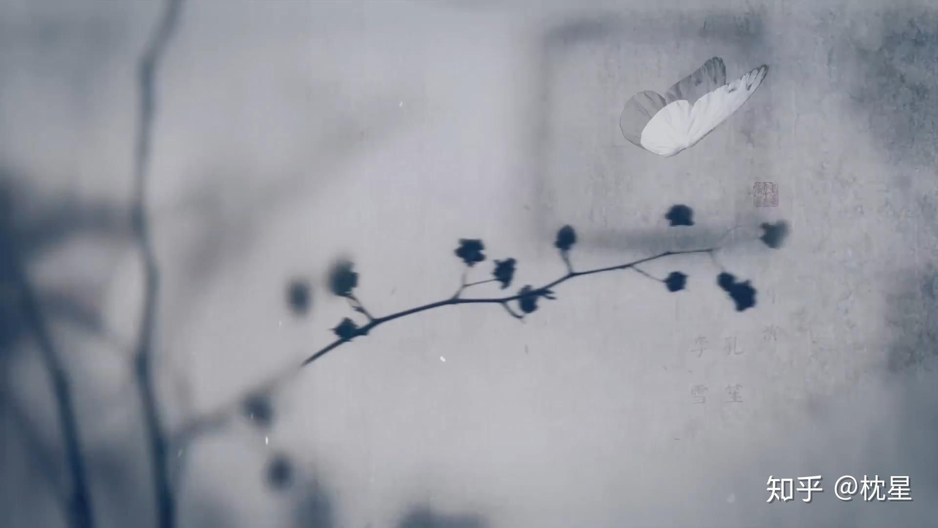 的漩涡---"良""邪"俱存的"琅琊榜",以梅长苏的身份在金陵掀起蝴蝶风暴