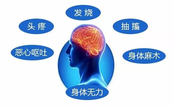 脑炎的症状、病因和治疗方法