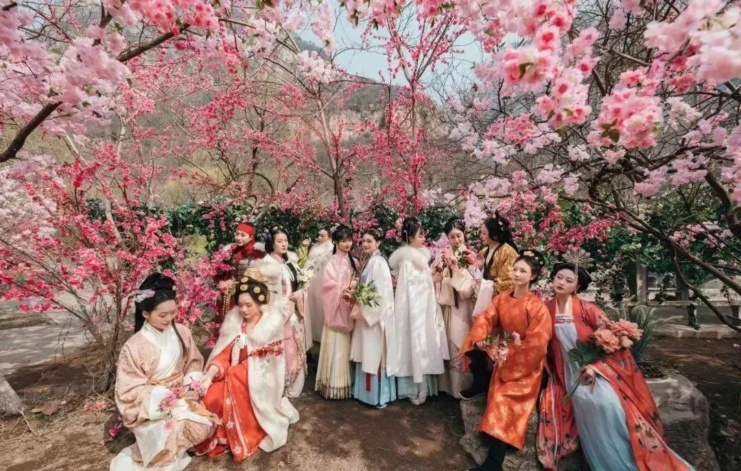 国风花朝|花开时节动邕城,醉一场绚丽锦绣的春日宴 - 知乎
