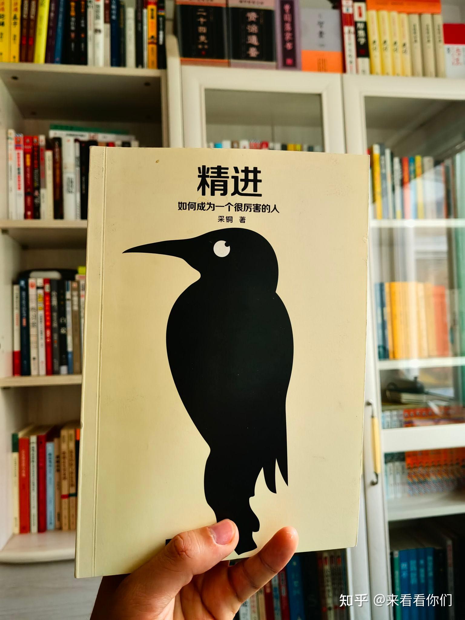 探讨其对观众的影响与评价
