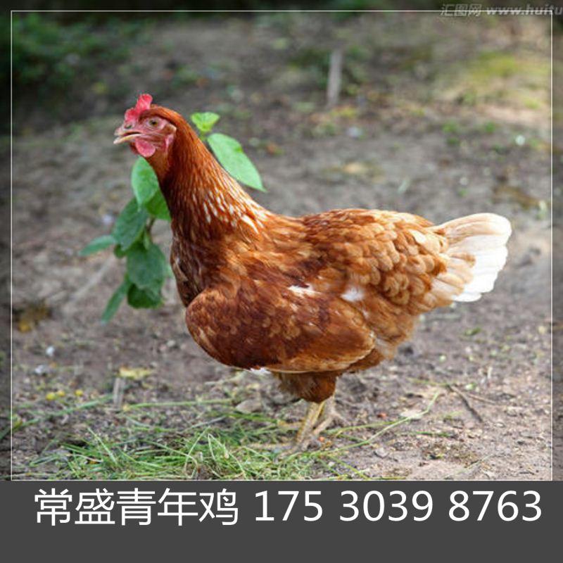 v2-4b081a0e7b39a57c7440edddce5b02a4_1440w.jpg?source=172ae18b