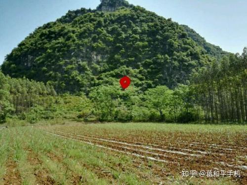 关天风水选穴的科学根据风水为什么要选穴窝钳乳突