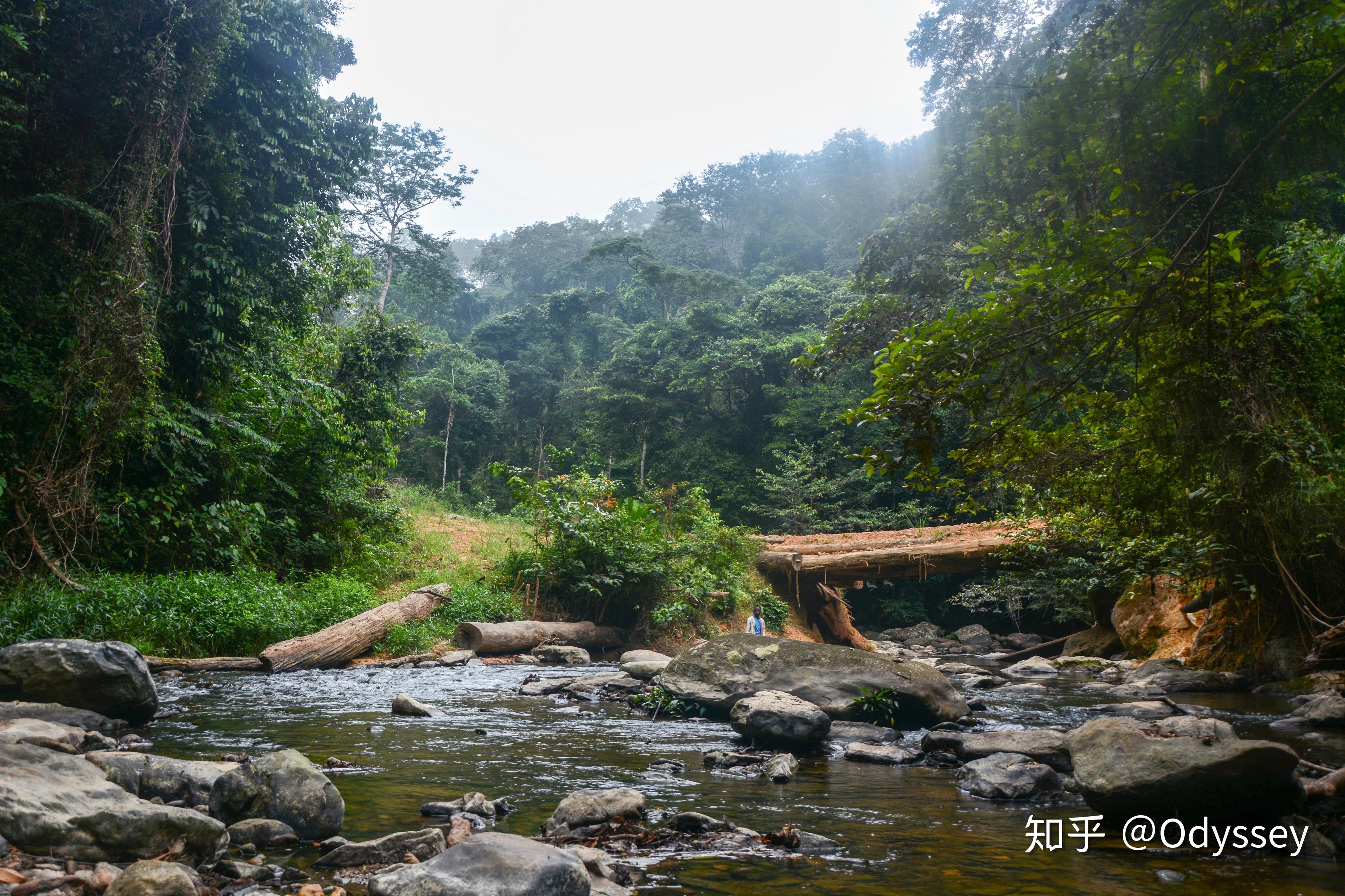雨林,草原,风雨——西非加蓬的风景