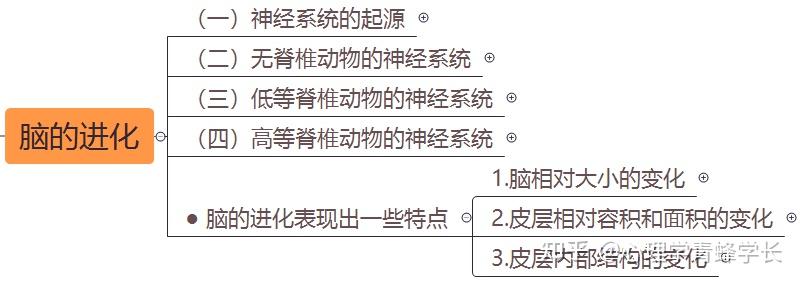 note4腦的進化普通心理學