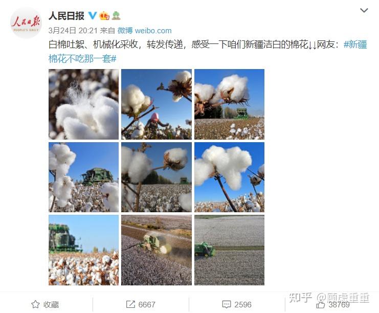 bci抵制新疆棉花大事件