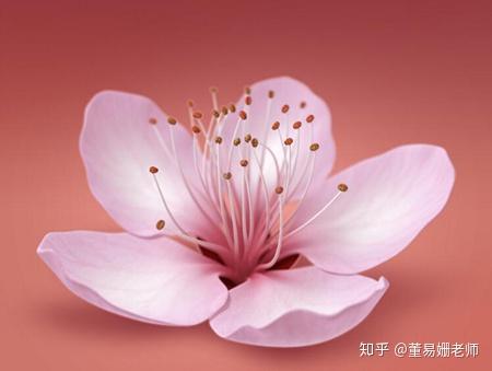 什么叫做桃花运呢 v2-4b65e19e5bb7f312dcd2949a7ac27fa2_r.jpg