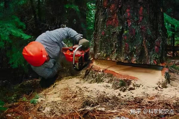 全球5大恐怖高薪职业，一场就赚数十万欧元，这种工作你敢干吗？ - 知乎