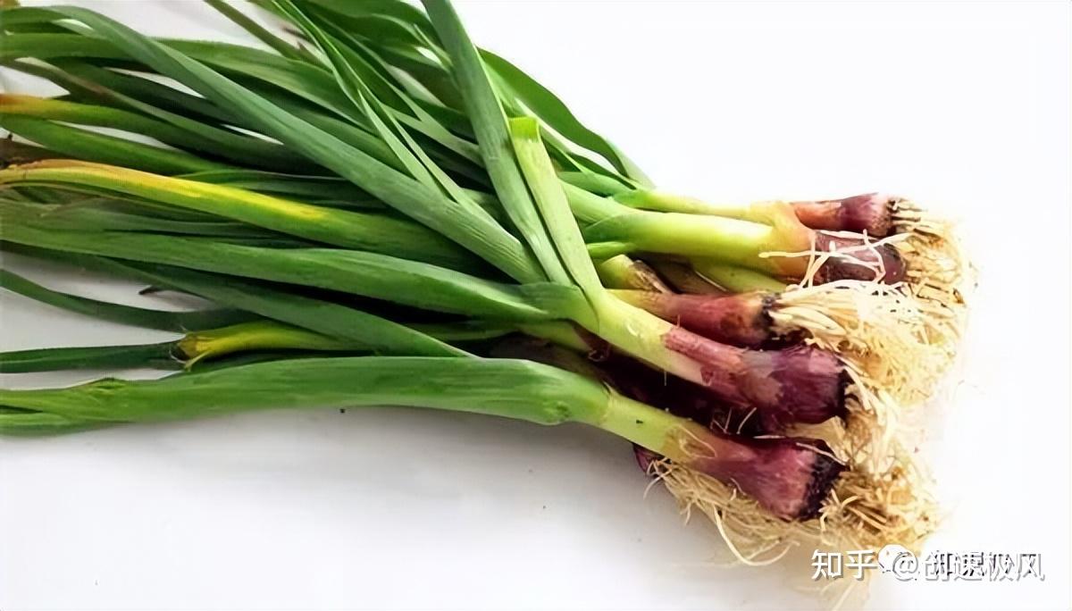 道家五荤三厌四不食是什么？刻在中国人骨子里的中华传统文化！ - 知乎
