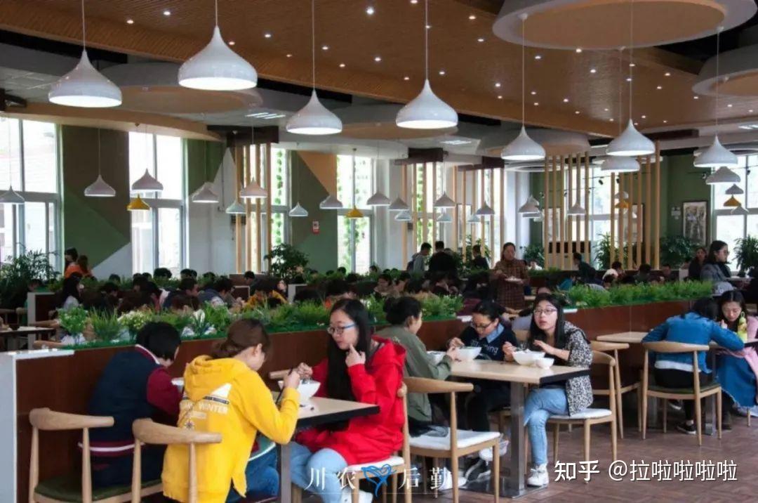 四川农业大学 食堂图片