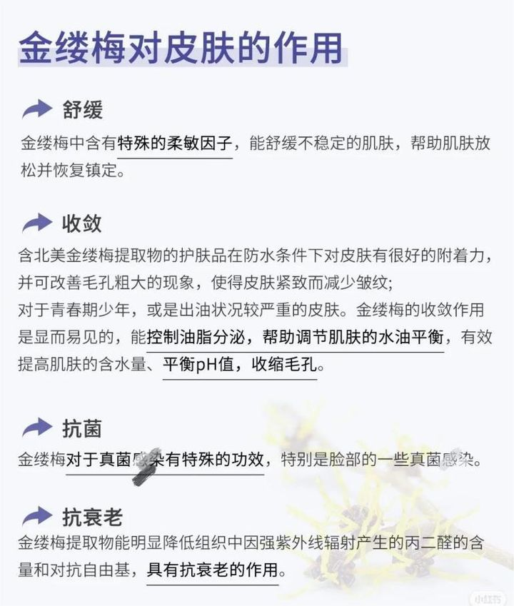 in水杨酸泥膜成分表图片