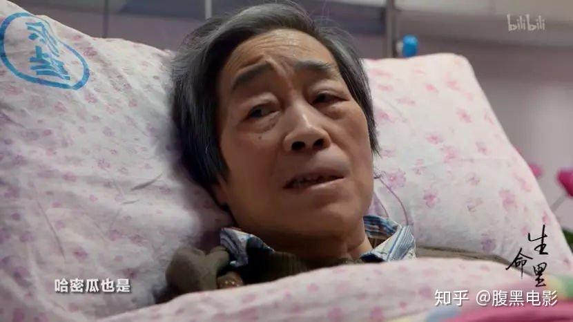 临终关怀纪录片生命里看完后泪流不止