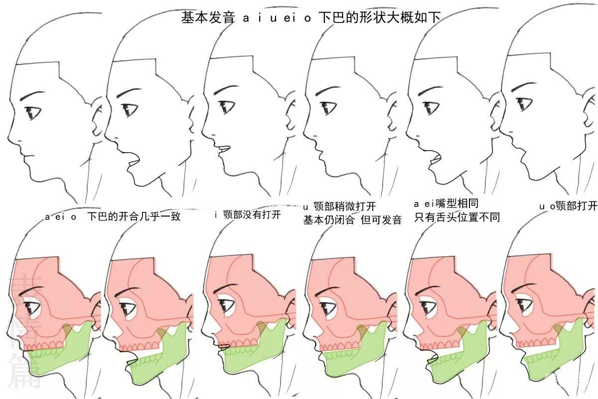 【教程】漫画人物脸部绘画基础 part 03 各种各样脸的画法 - 哔哩哔哩