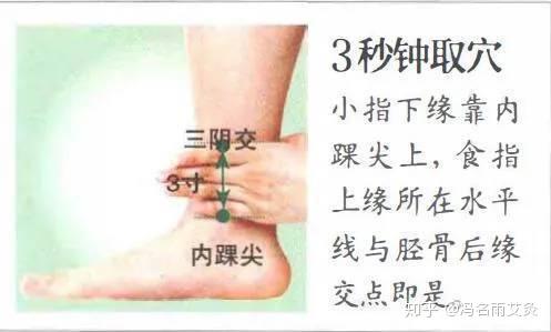 v2-4b9ea8c493cb27cb22ed080015c6a052_r.jpg