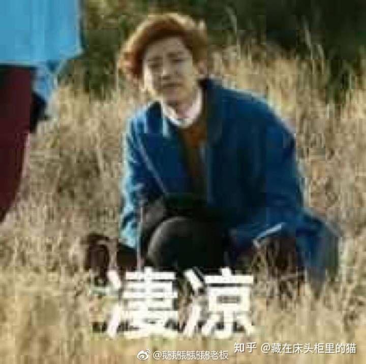 如何评价鹿晗在《甜蜜暴击》中的演技?