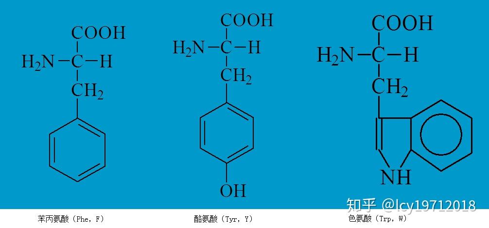 基本氨基酸的一些基本知识:结构,特点与记忆方法(六)