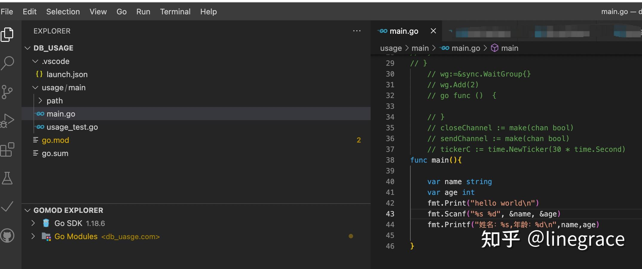 Vscode go C JAVA C Scanf vscode 